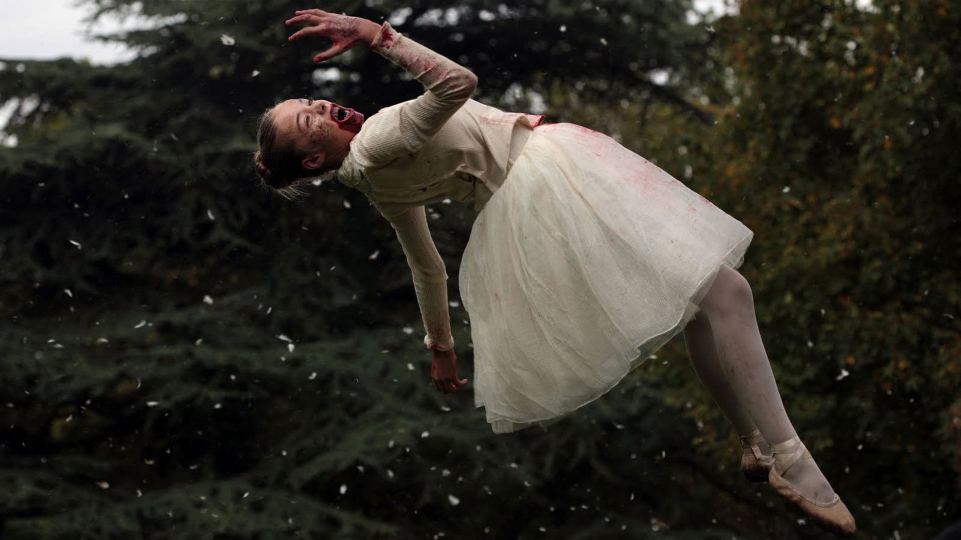 Foto do filme Livide