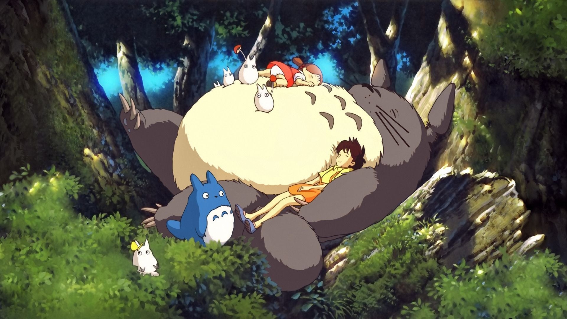Foto do filme Meu Amigo Totoro