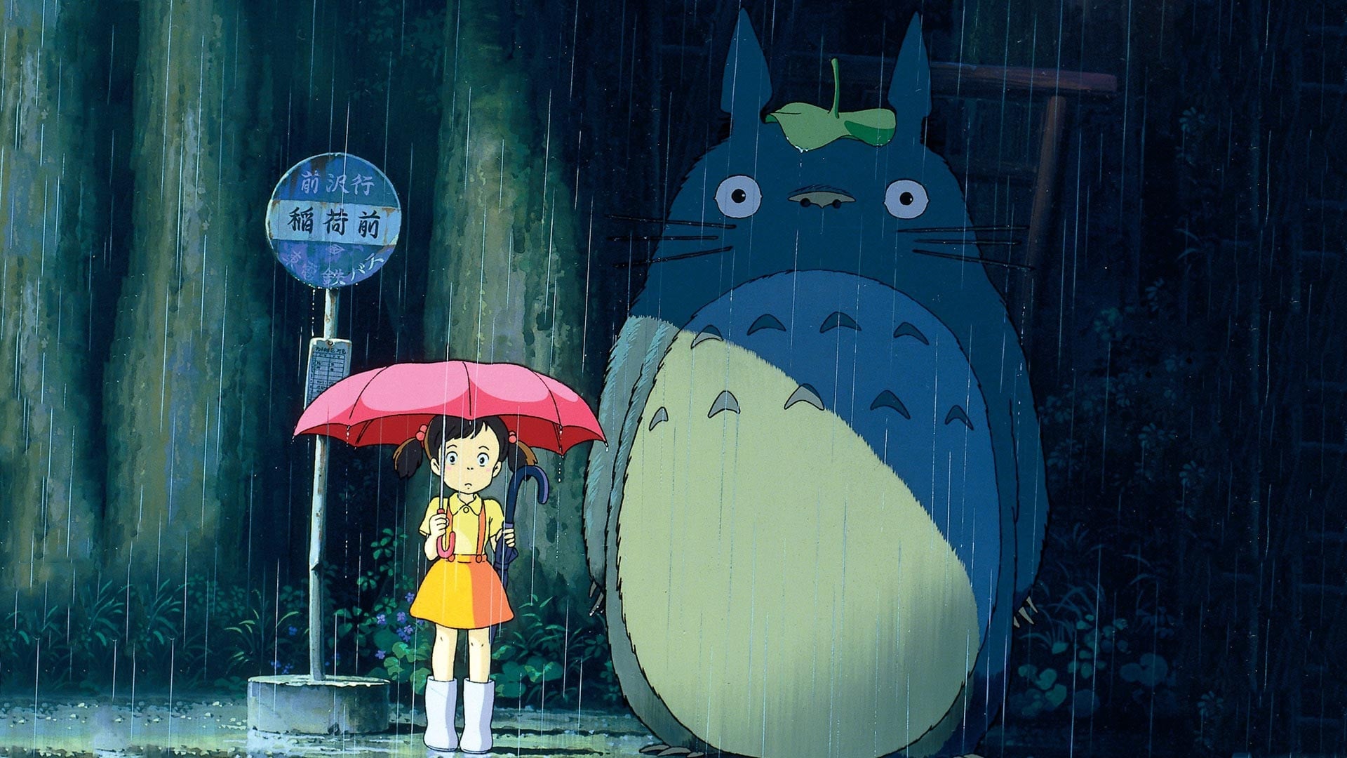 Foto do filme Meu Amigo Totoro