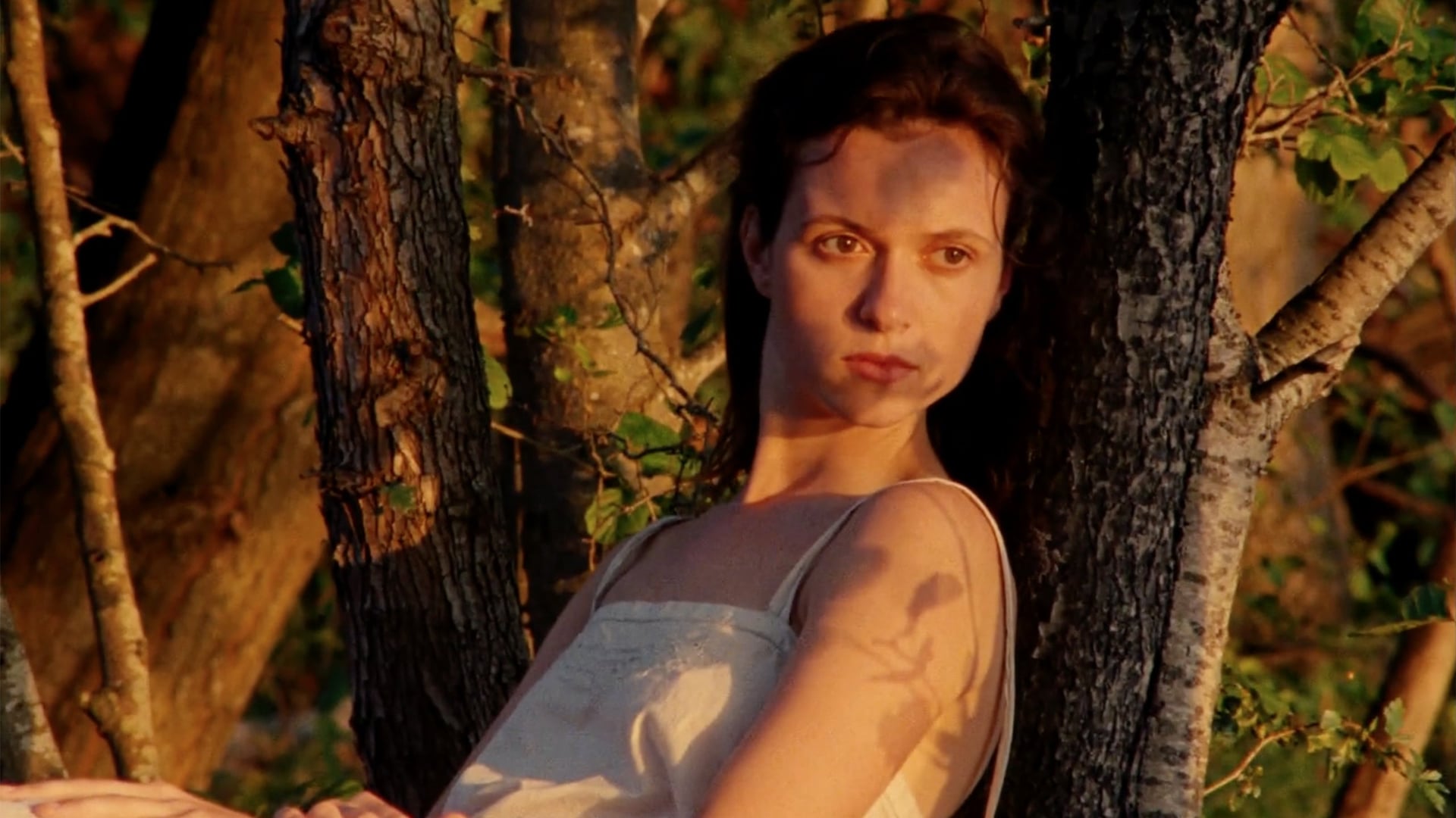 Foto do filme L'Envol