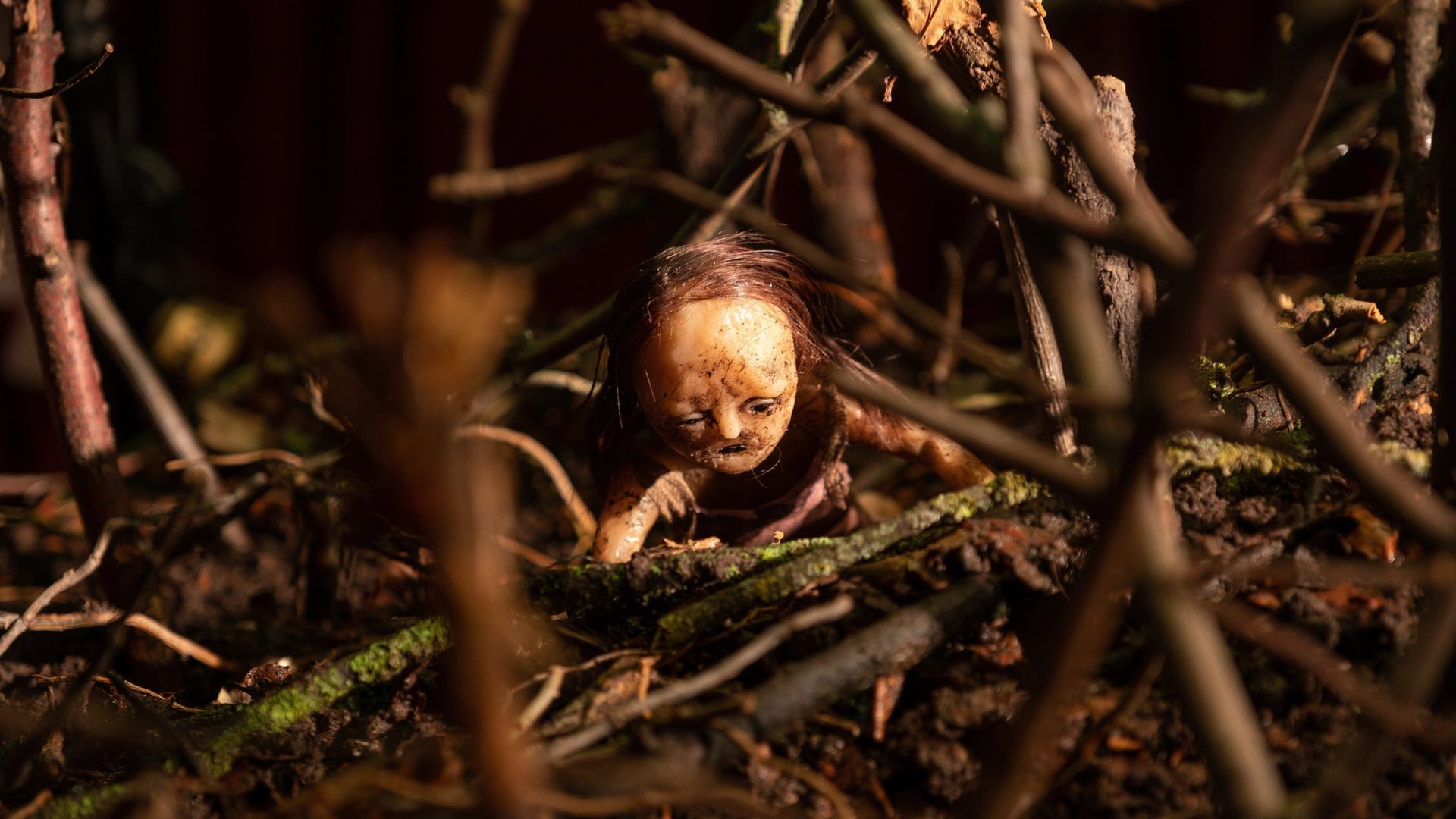 Foto do filme Stopmotion