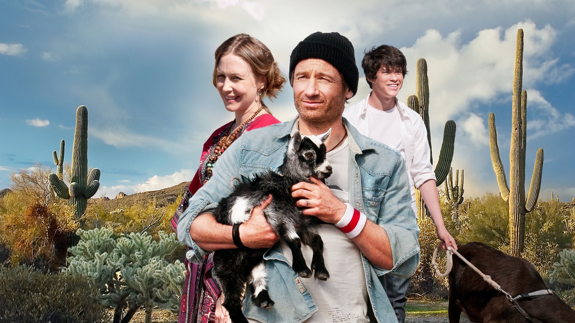 Foto do filme Ovelha Negra