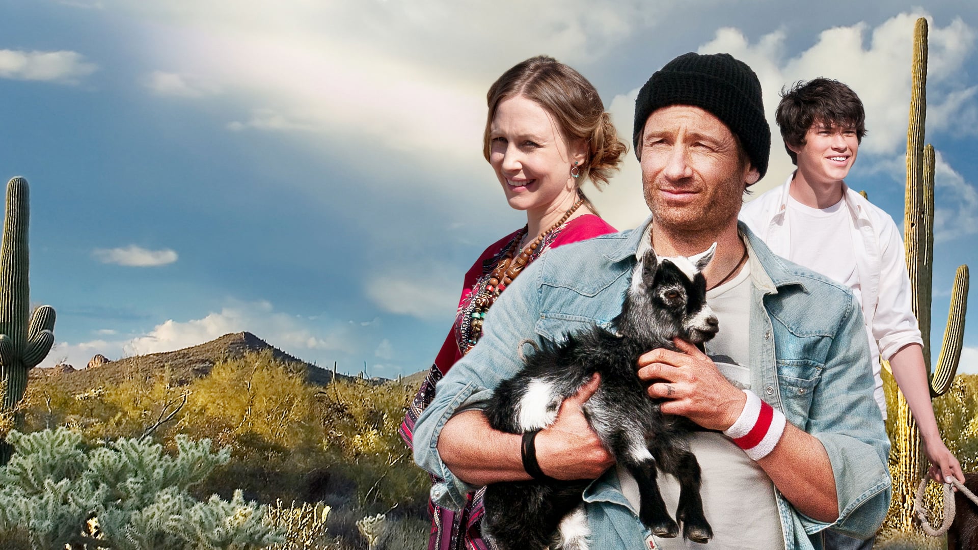 Foto do filme Ovelha Negra