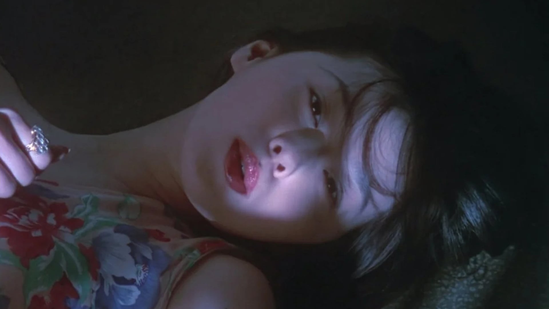 Foto do filme Swallowtail Butterfly