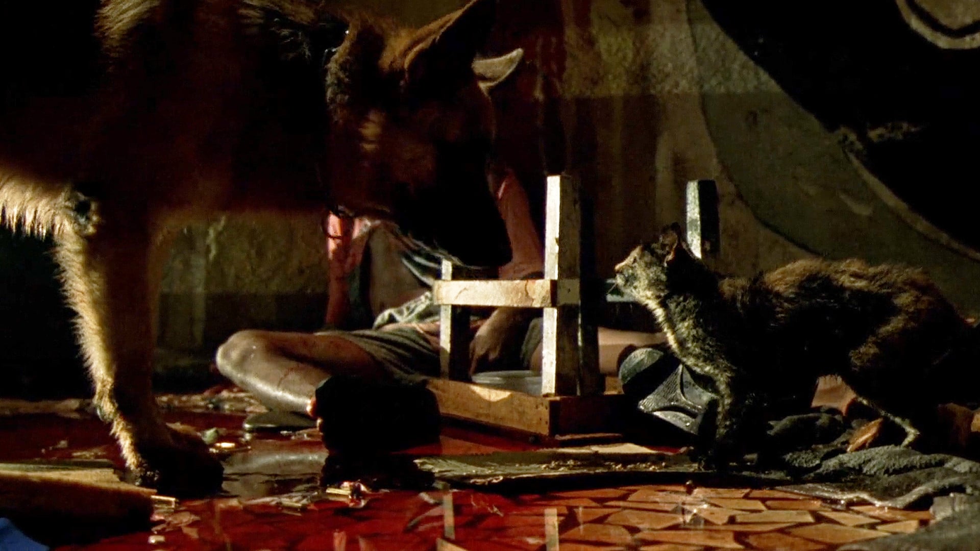 Foto do filme Carandiru