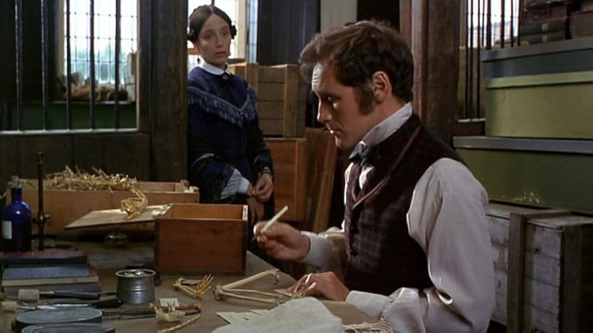 Foto do filme Angels and Insects
