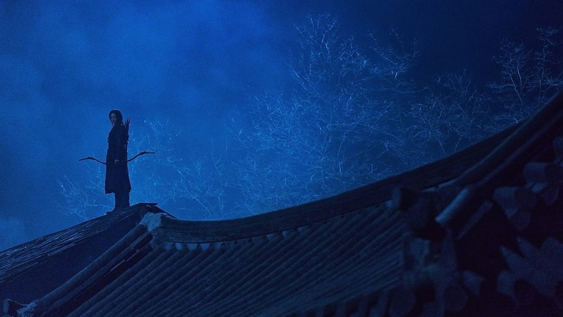 Foto do filme Kingdom: Ashin of the North