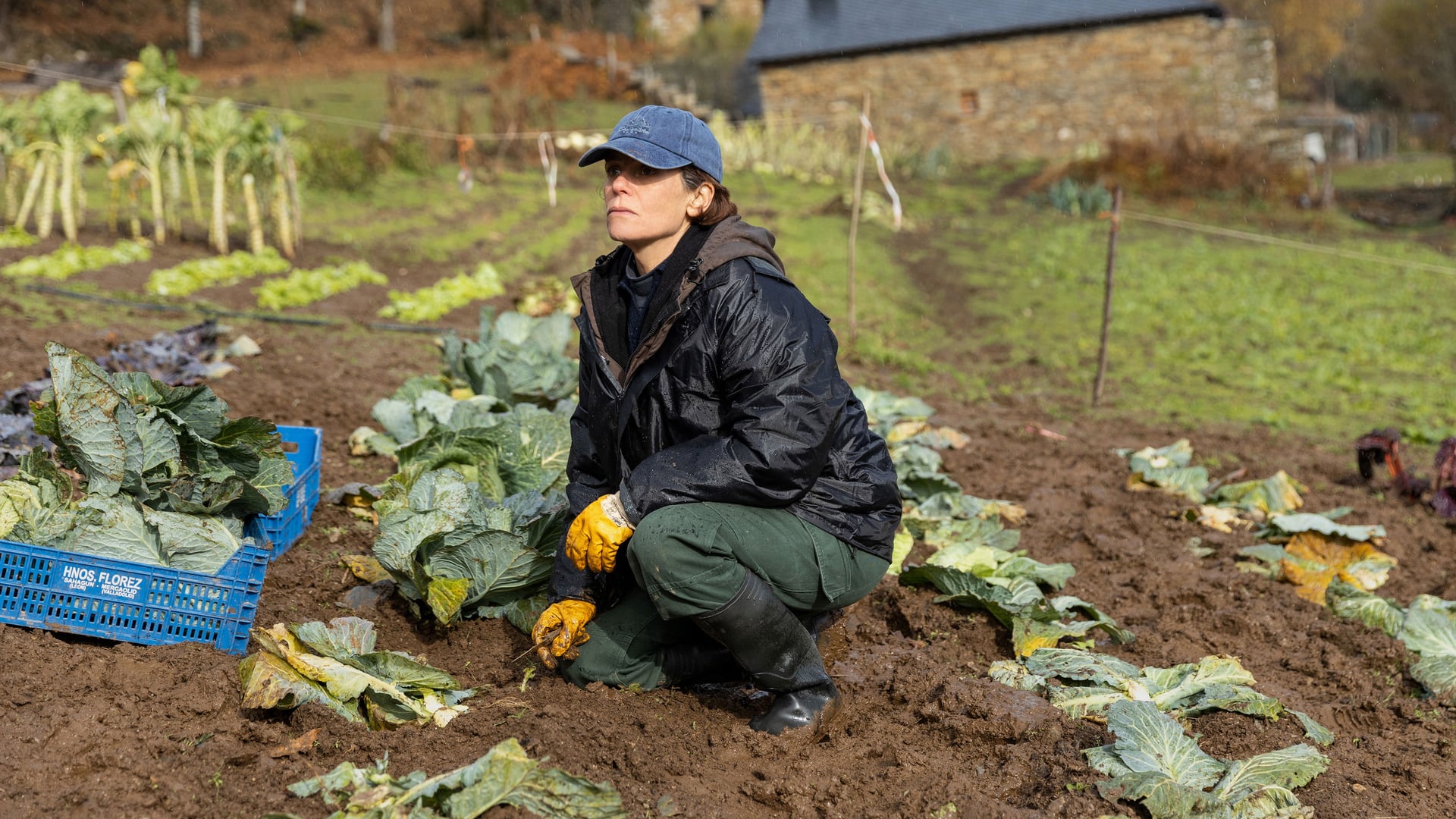 Foto do filme As Bestas