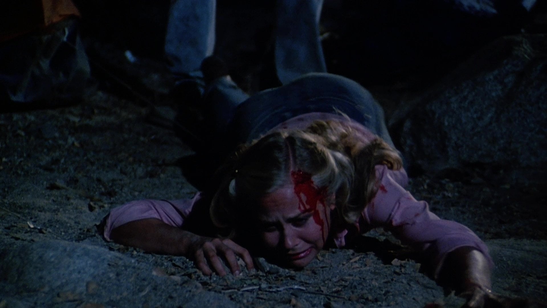 Foto do filme The Forest