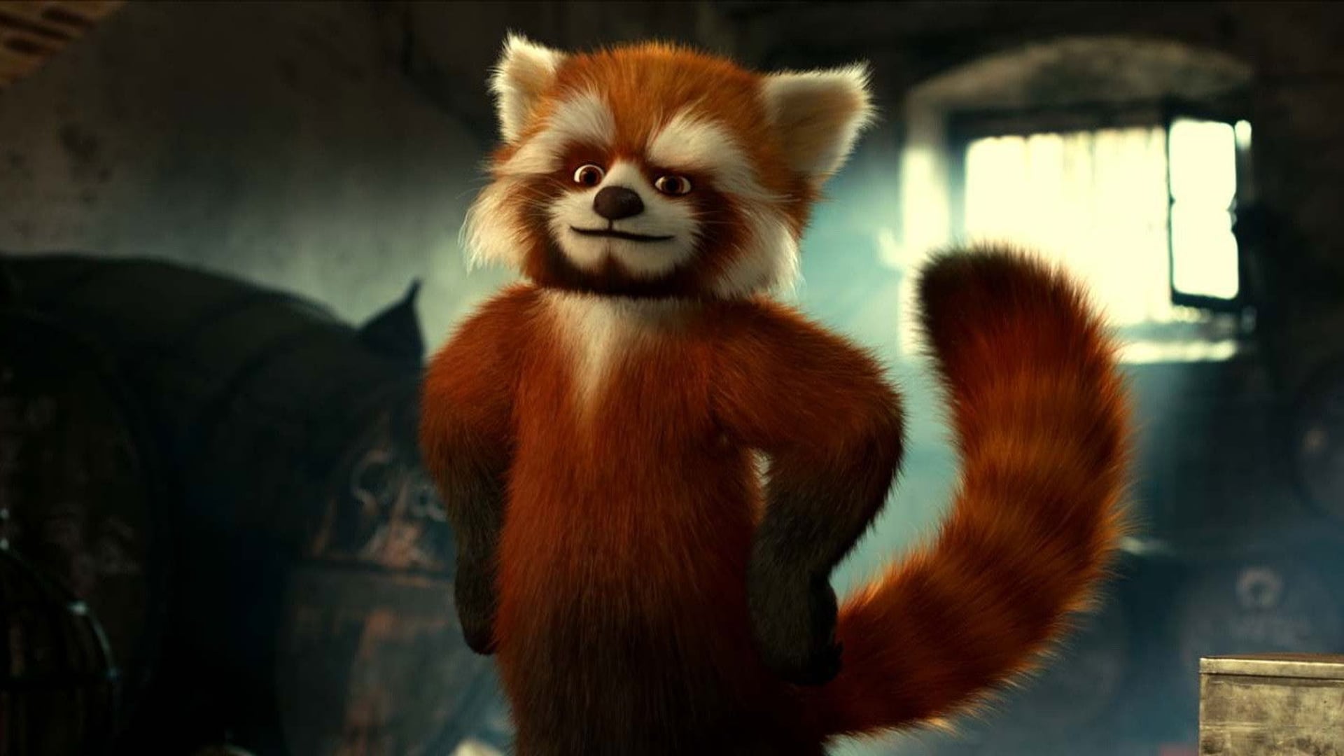 Foto do filme Floquet de Neu