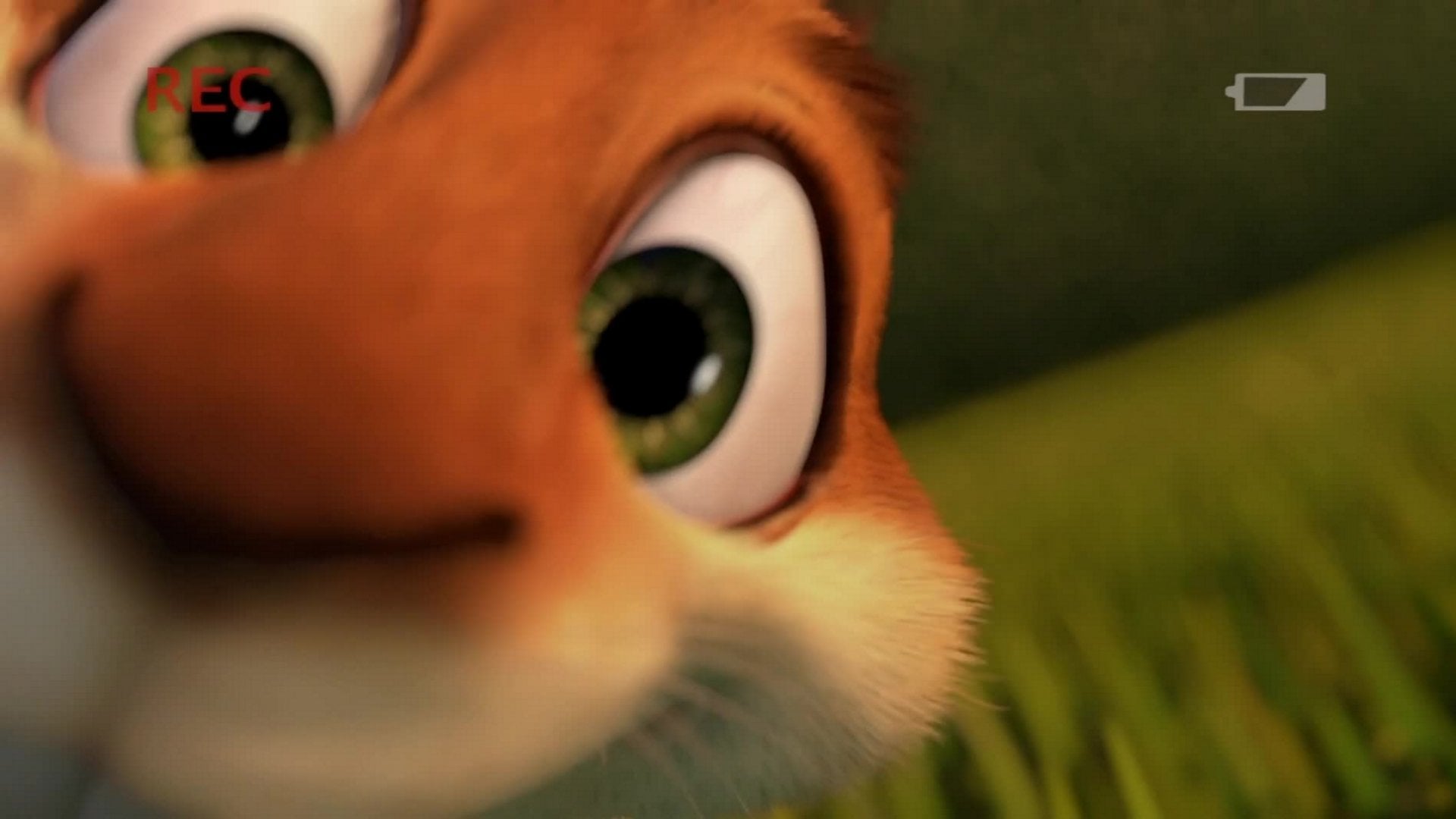 Foto do filme A Aventura de Hammy com o Bumerangue