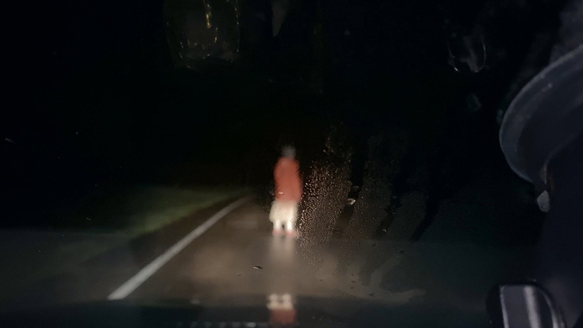 Foto do filme Dashcam