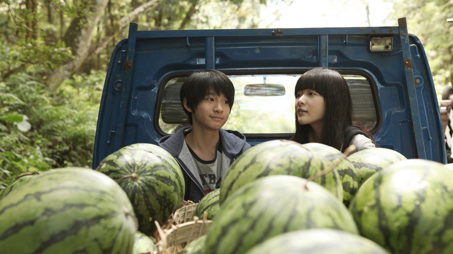 Foto do filme Starry Starry Night