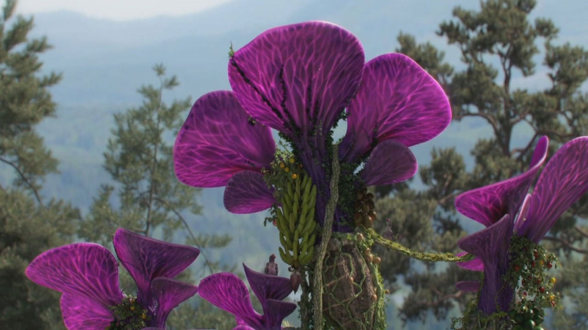 Foto do filme La jaula