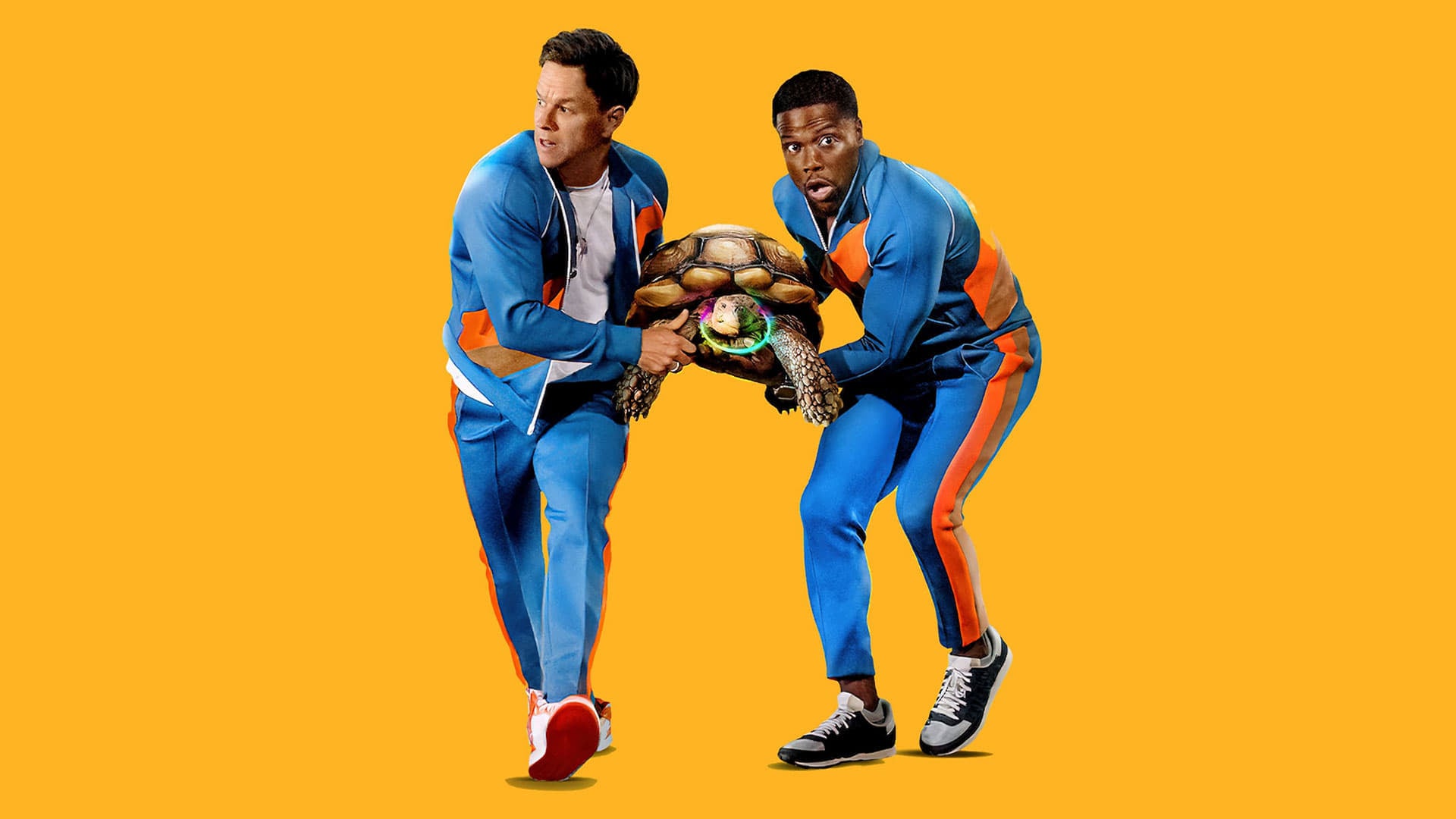 Foto do filme De Férias da Família