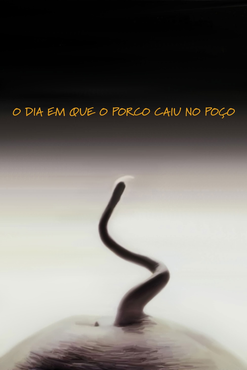 O Dia em Que o Porco Caiu no Poço