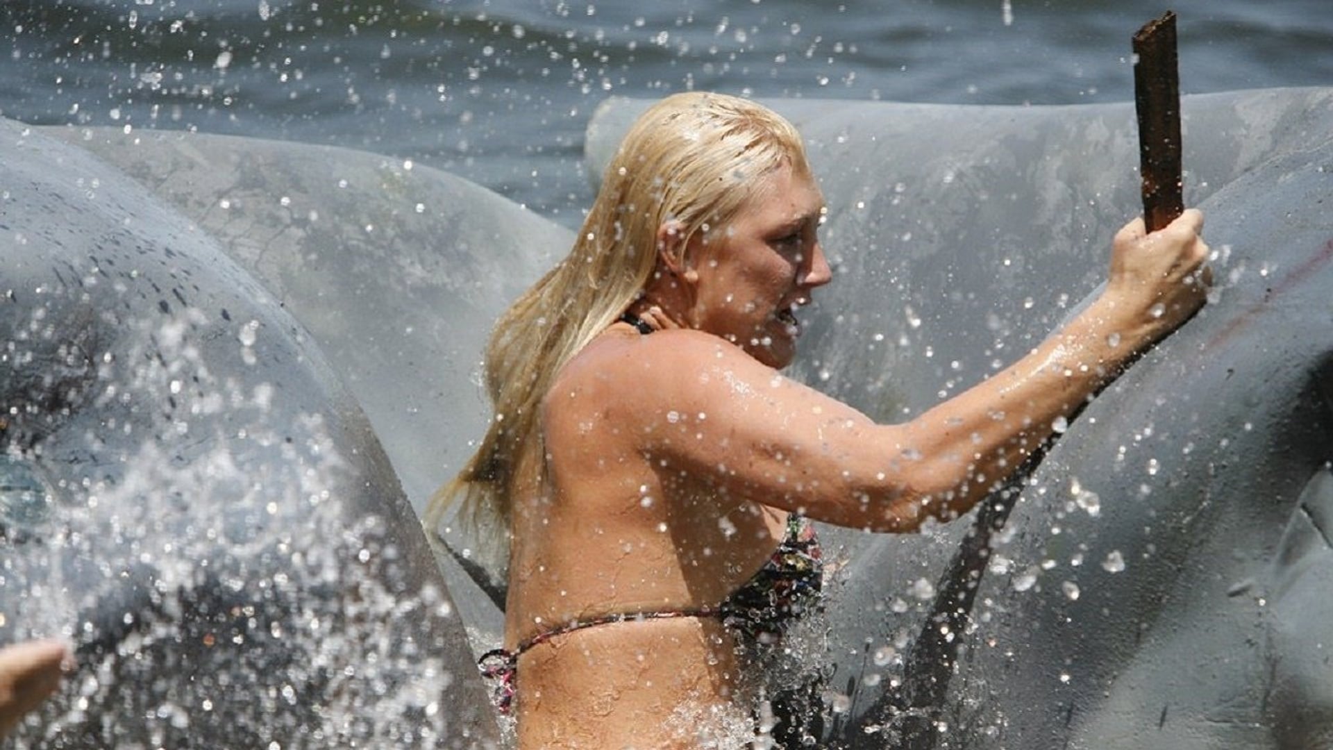 Foto do filme Ataque do Tubarão Mutante