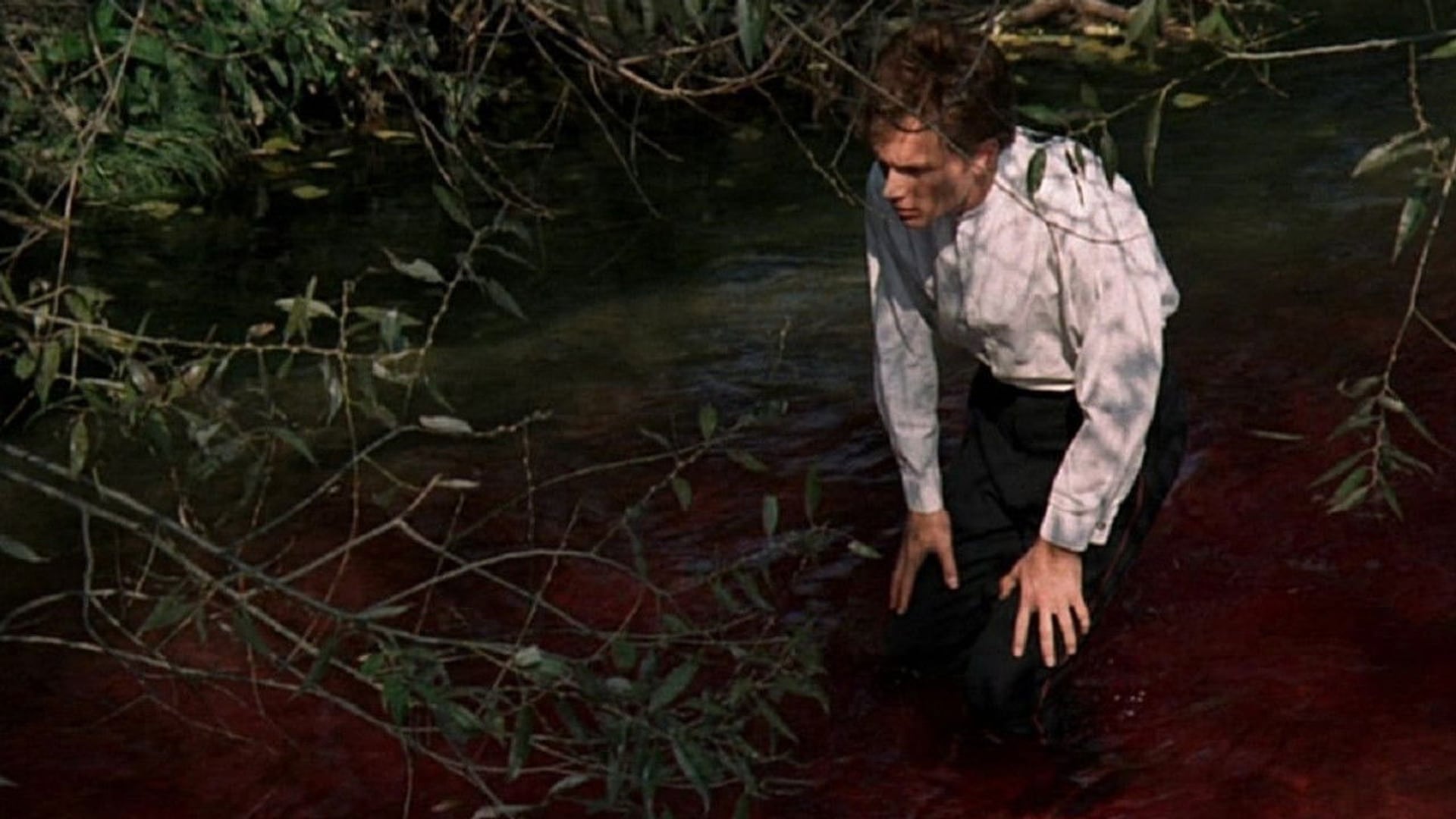 Foto do filme Salmo Vermelho