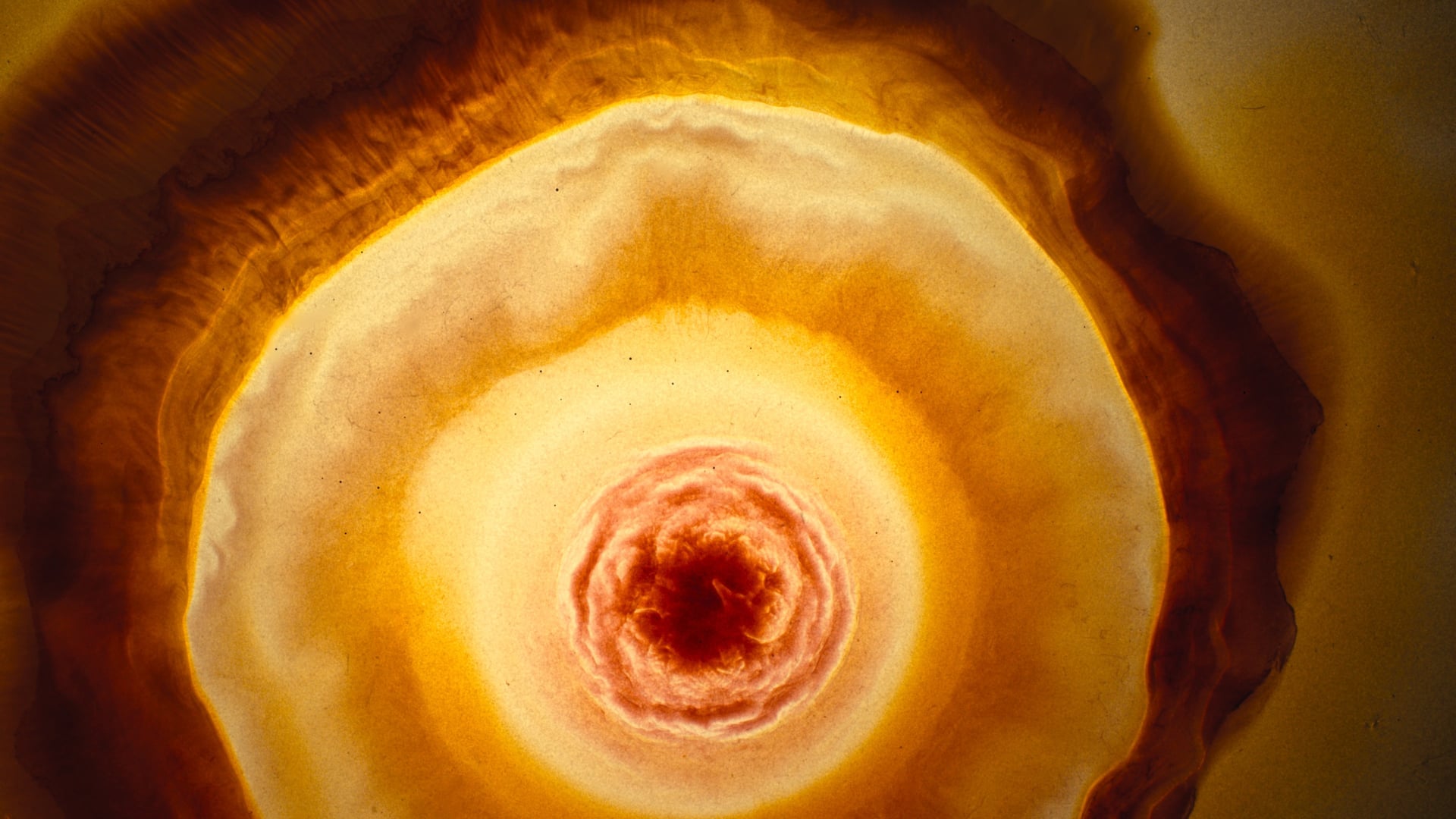 Foto do filme Voyage of Time: Life's Journey