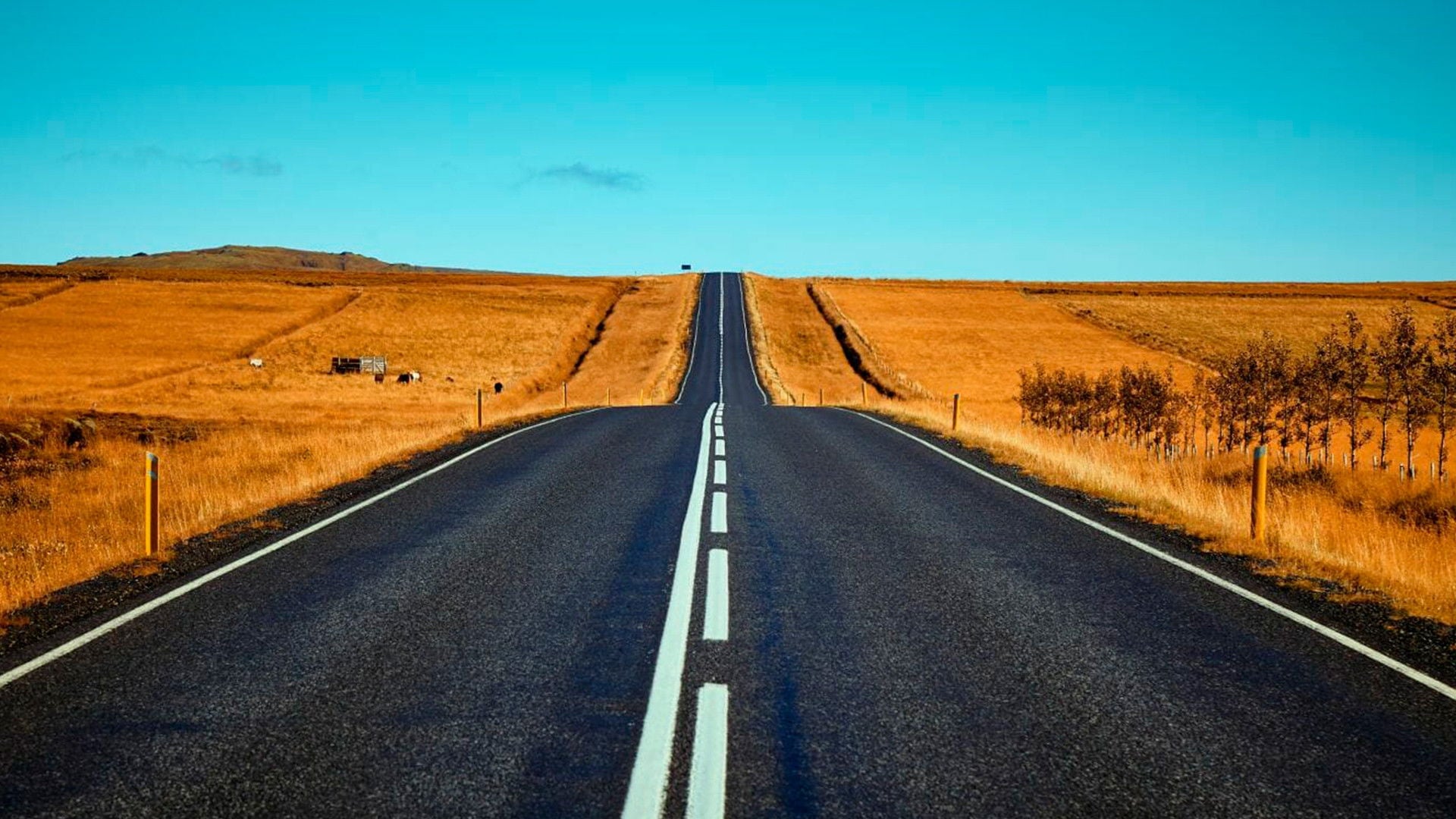 Foto do filme Viajo Porque Preciso, Volto Porque Te Amo