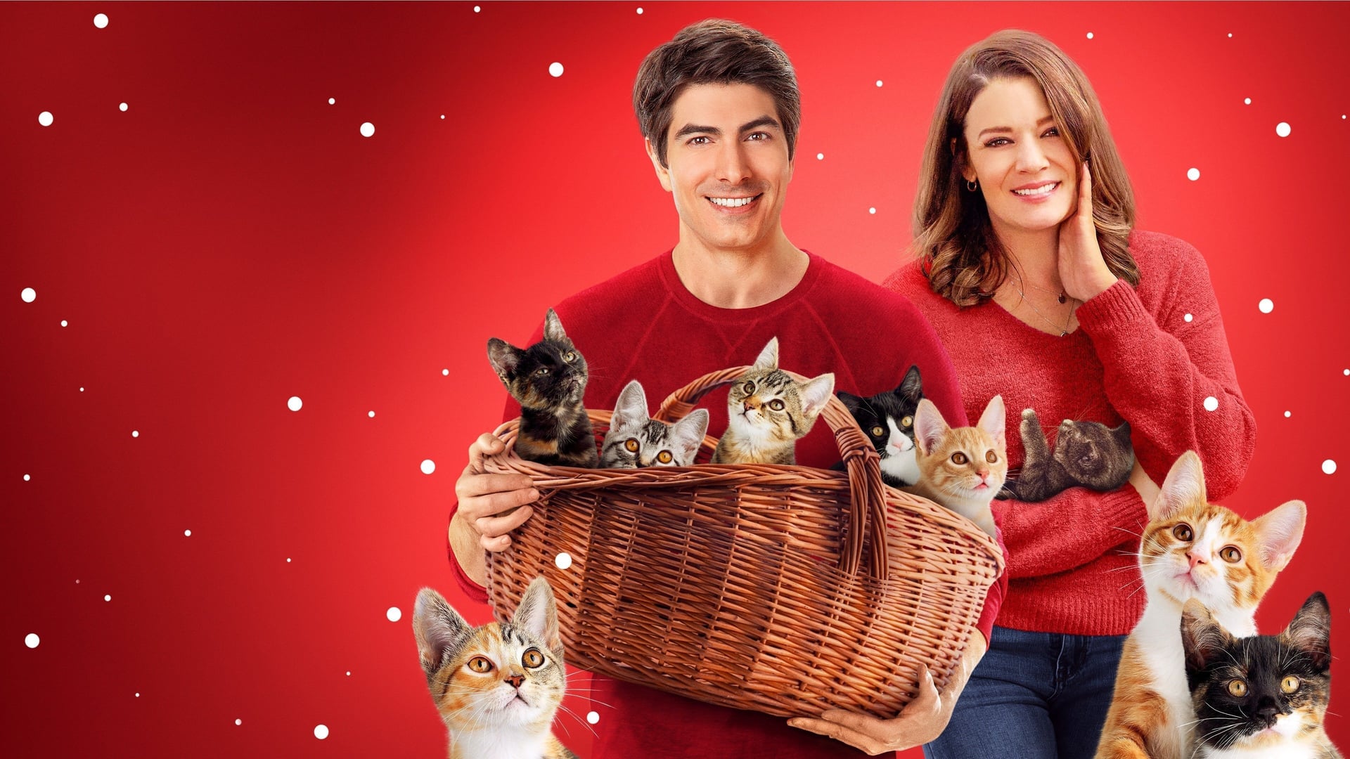 Foto do filme The Nine Kittens of Christmas