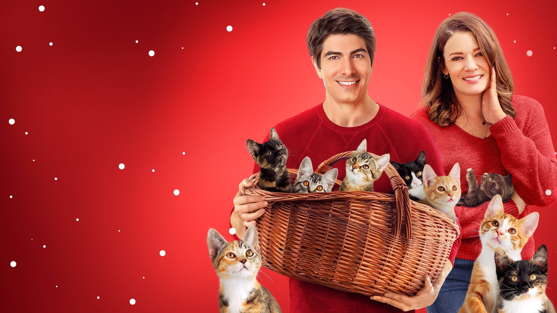 Foto do filme The Nine Kittens of Christmas