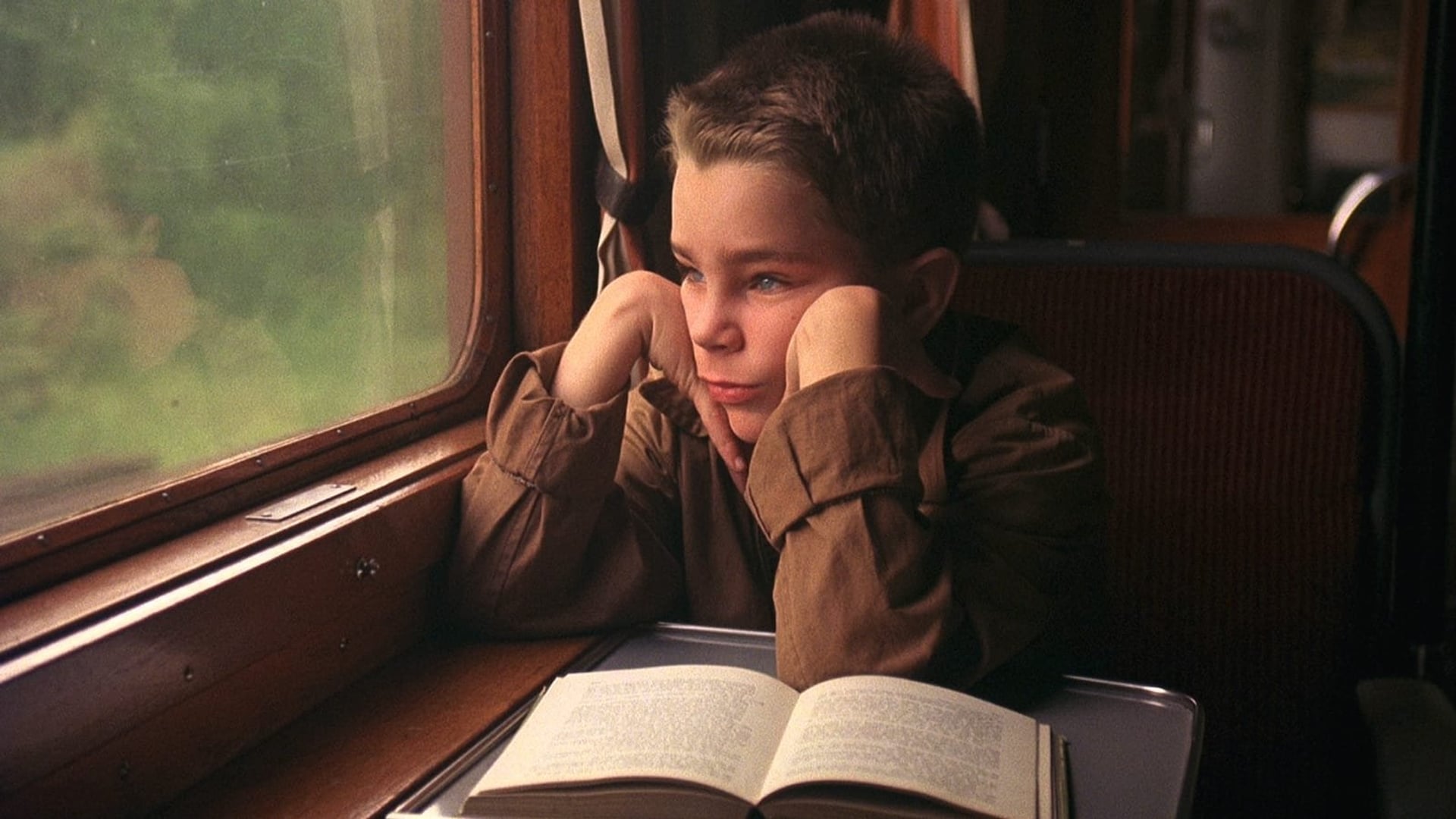 Foto do filme Minha Vida de Cachorro