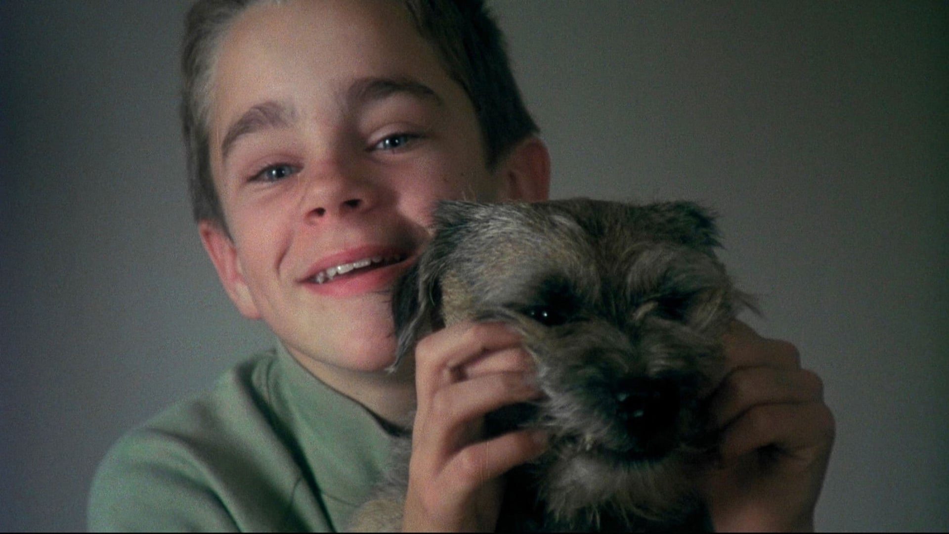 Foto do filme Minha Vida de Cachorro