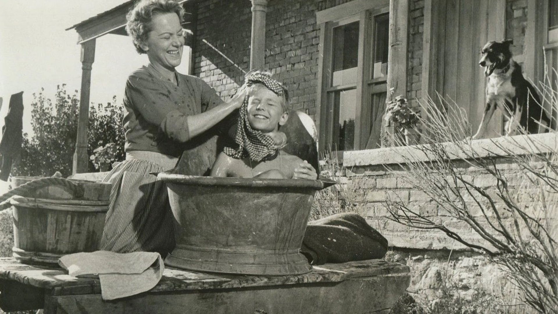 Foto do filme O Rebelde Orgulhoso