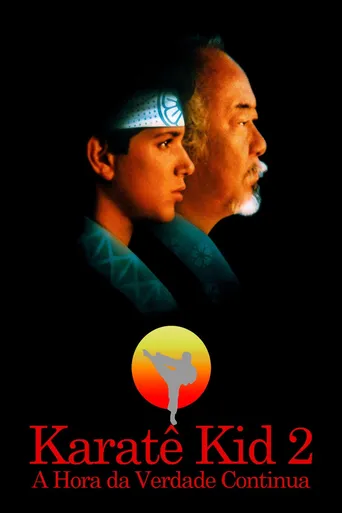 Karatê Kid 2: A Hora da Verdade Continua