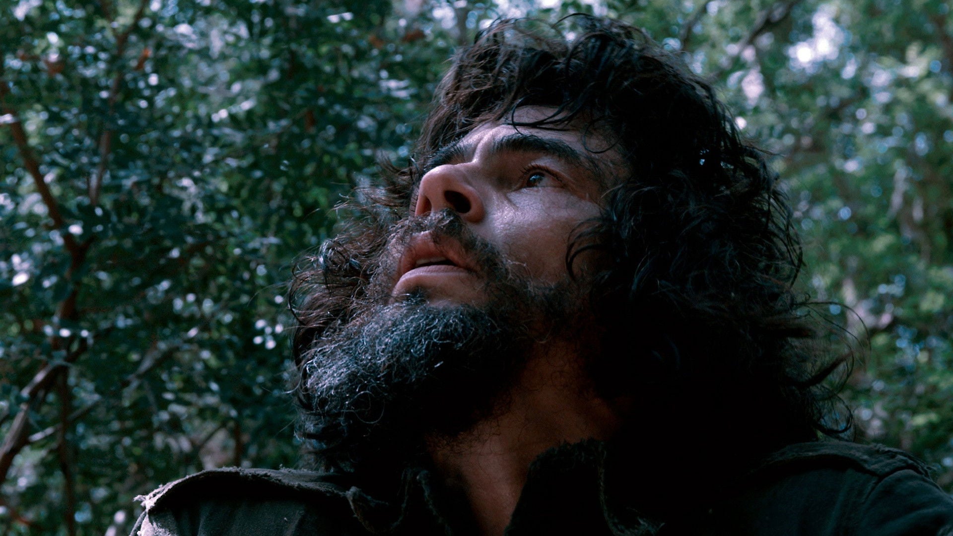 Foto do filme Che 2: A Guerrilha