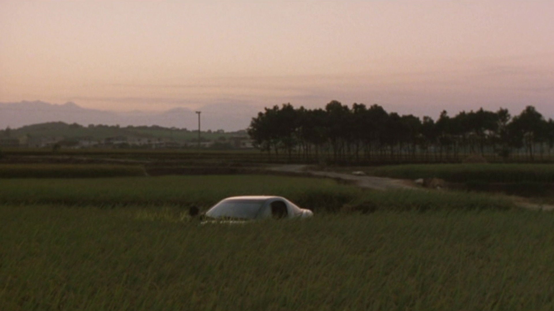 Foto do filme Adeus ao Sul