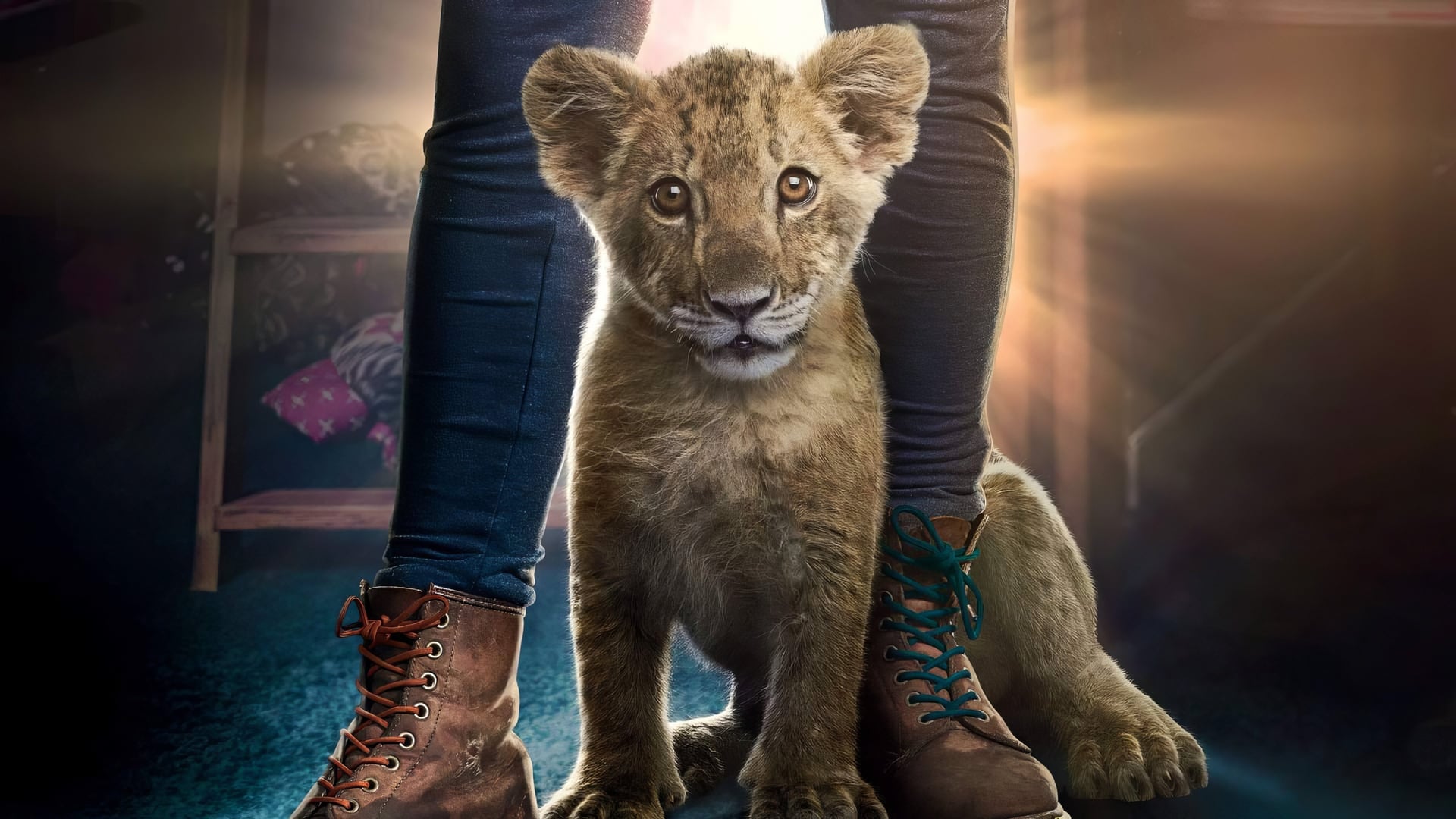 Foto do filme King - Meu Melhor Amigo