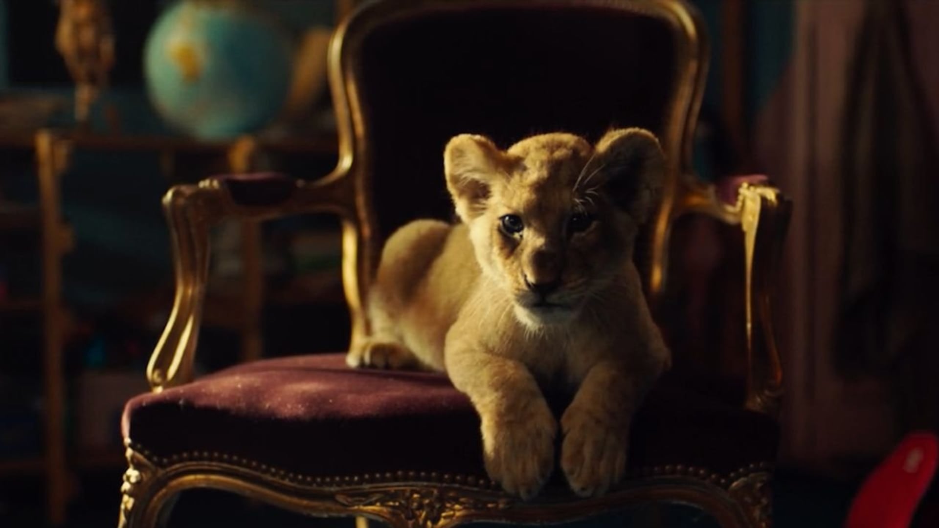 Foto do filme King - Meu Melhor Amigo