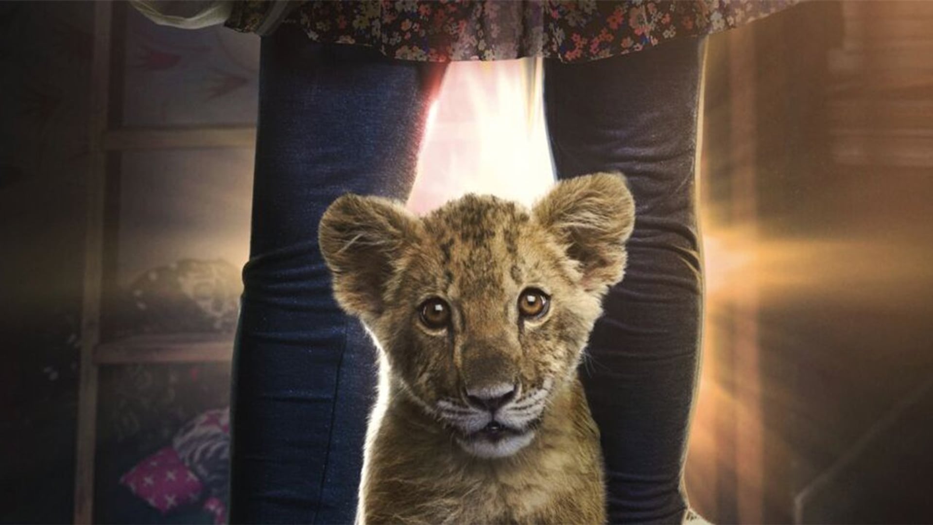 Foto do filme King - Meu Melhor Amigo