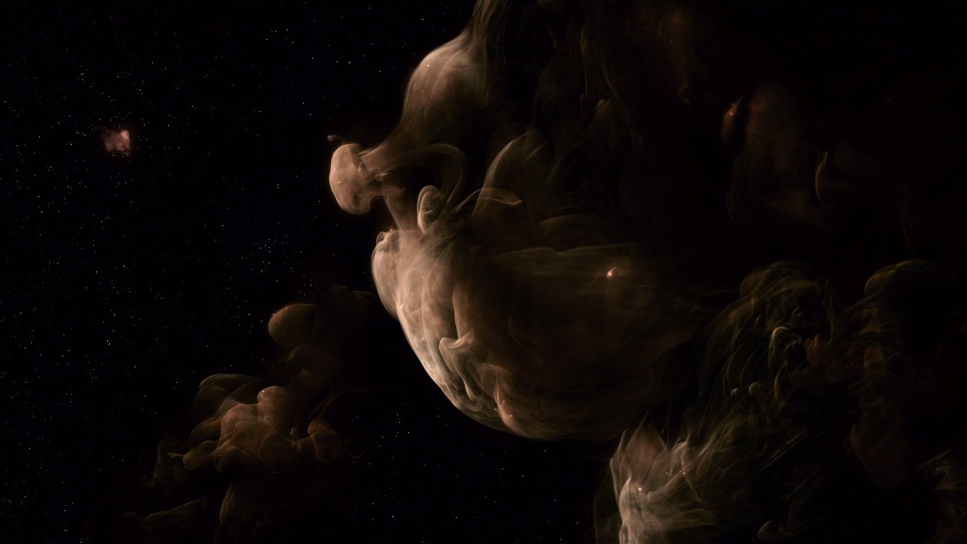 Foto do filme A Árvore da Vida