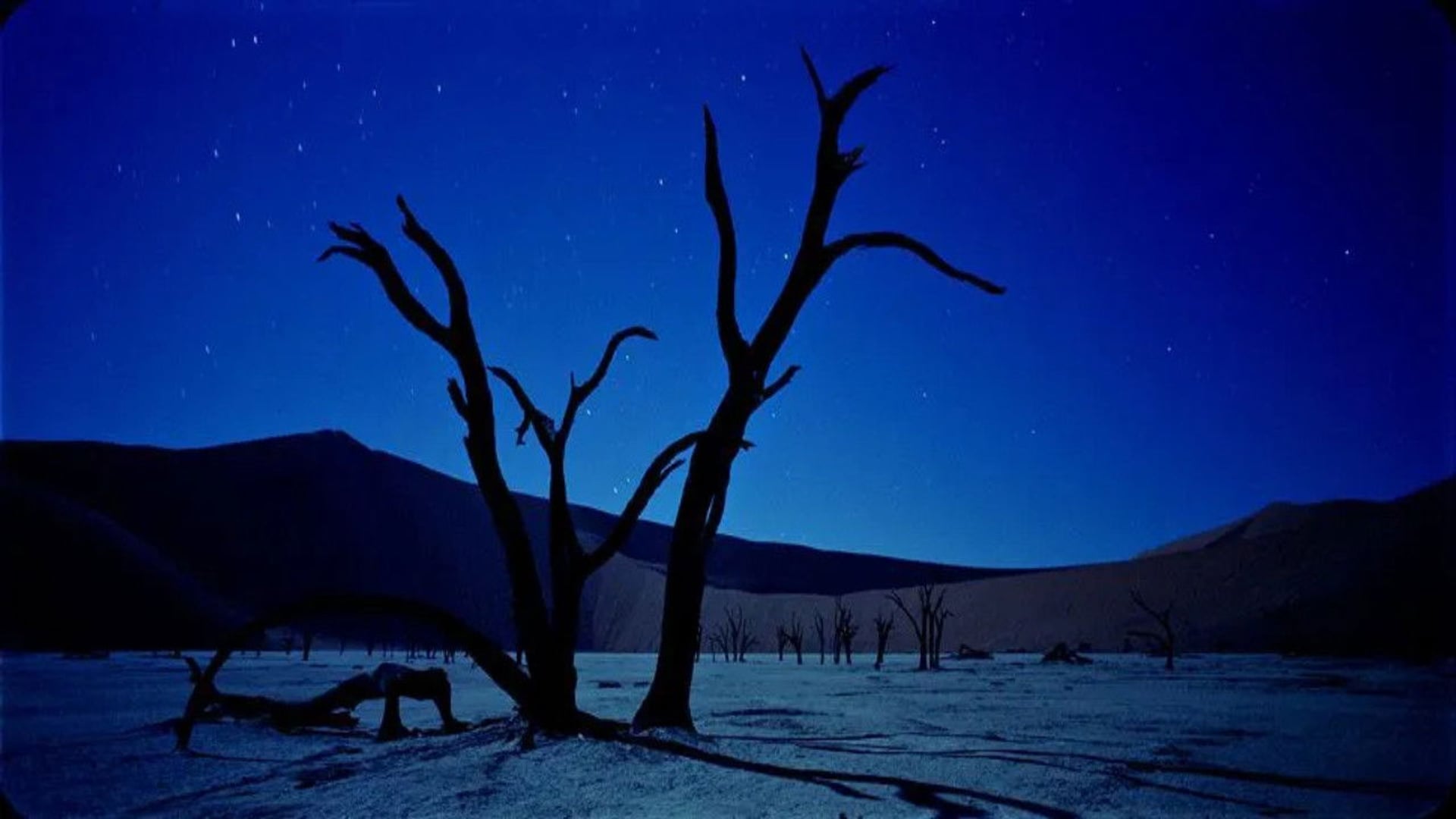 Foto do filme Samsara