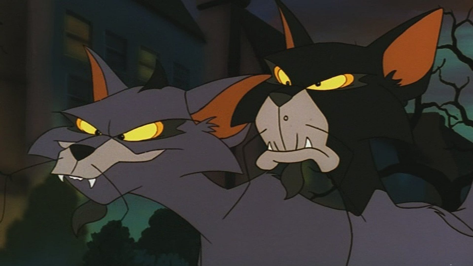 Foto do filme Felidae