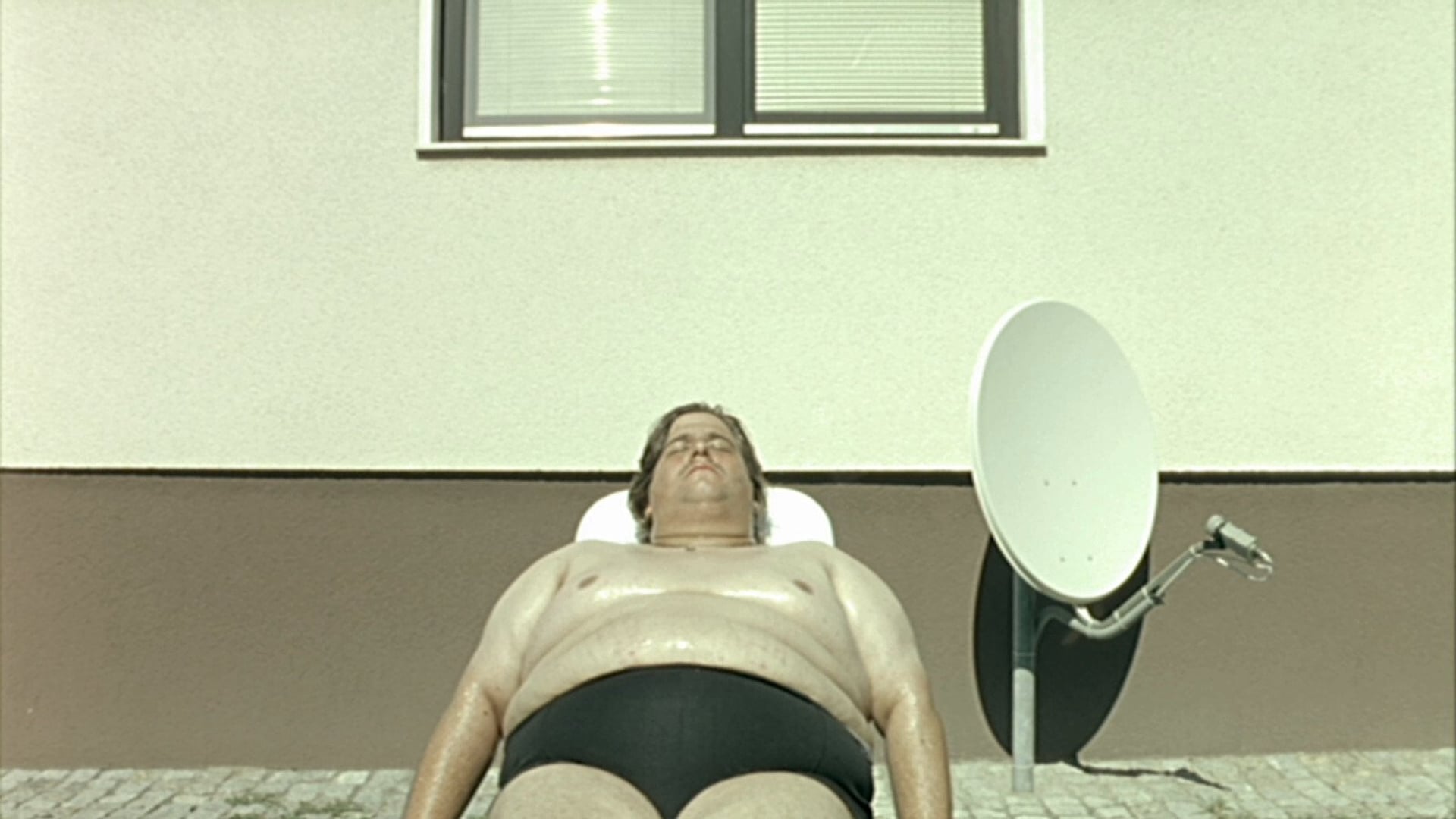 Foto do filme Dias de Cão