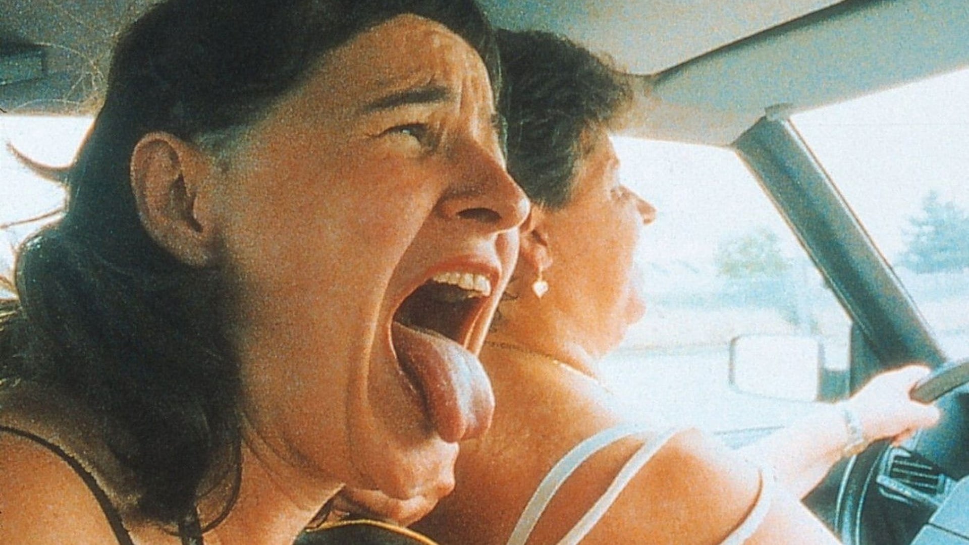 Foto do filme Dias de Cão