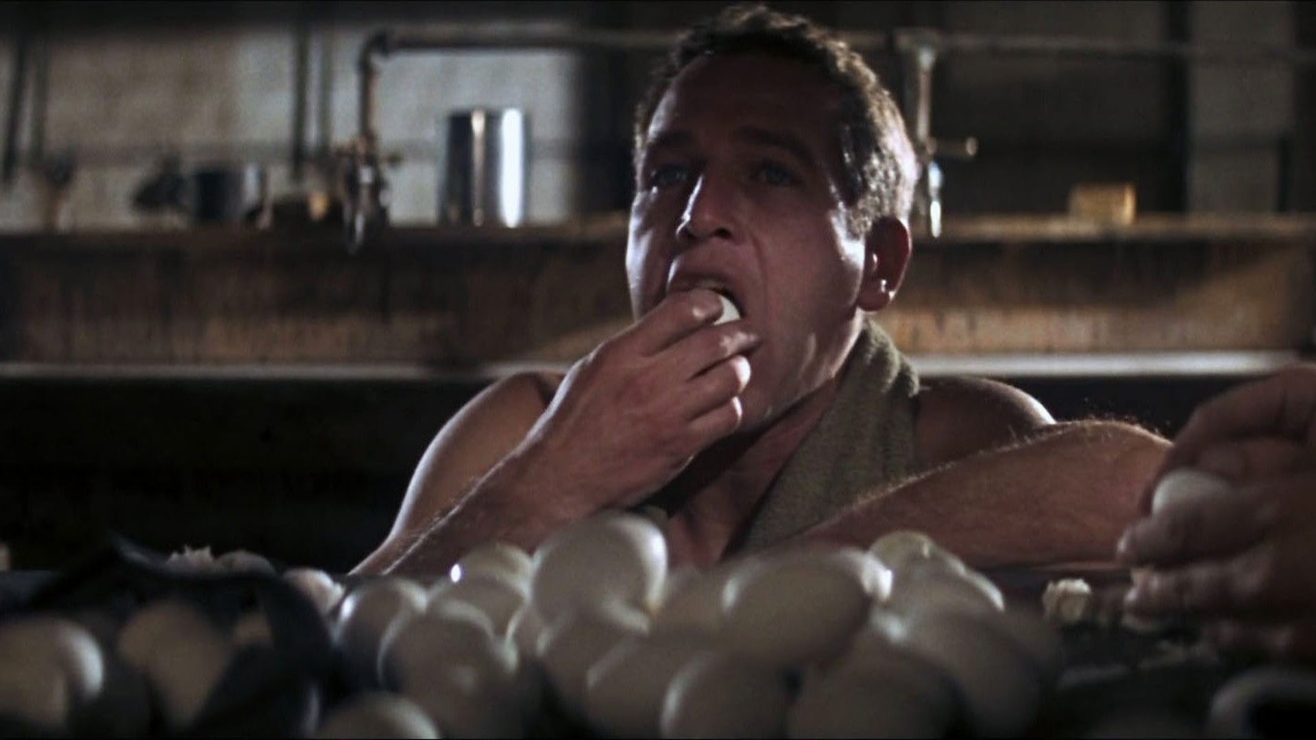 Foto do filme Rebeldia Indomável