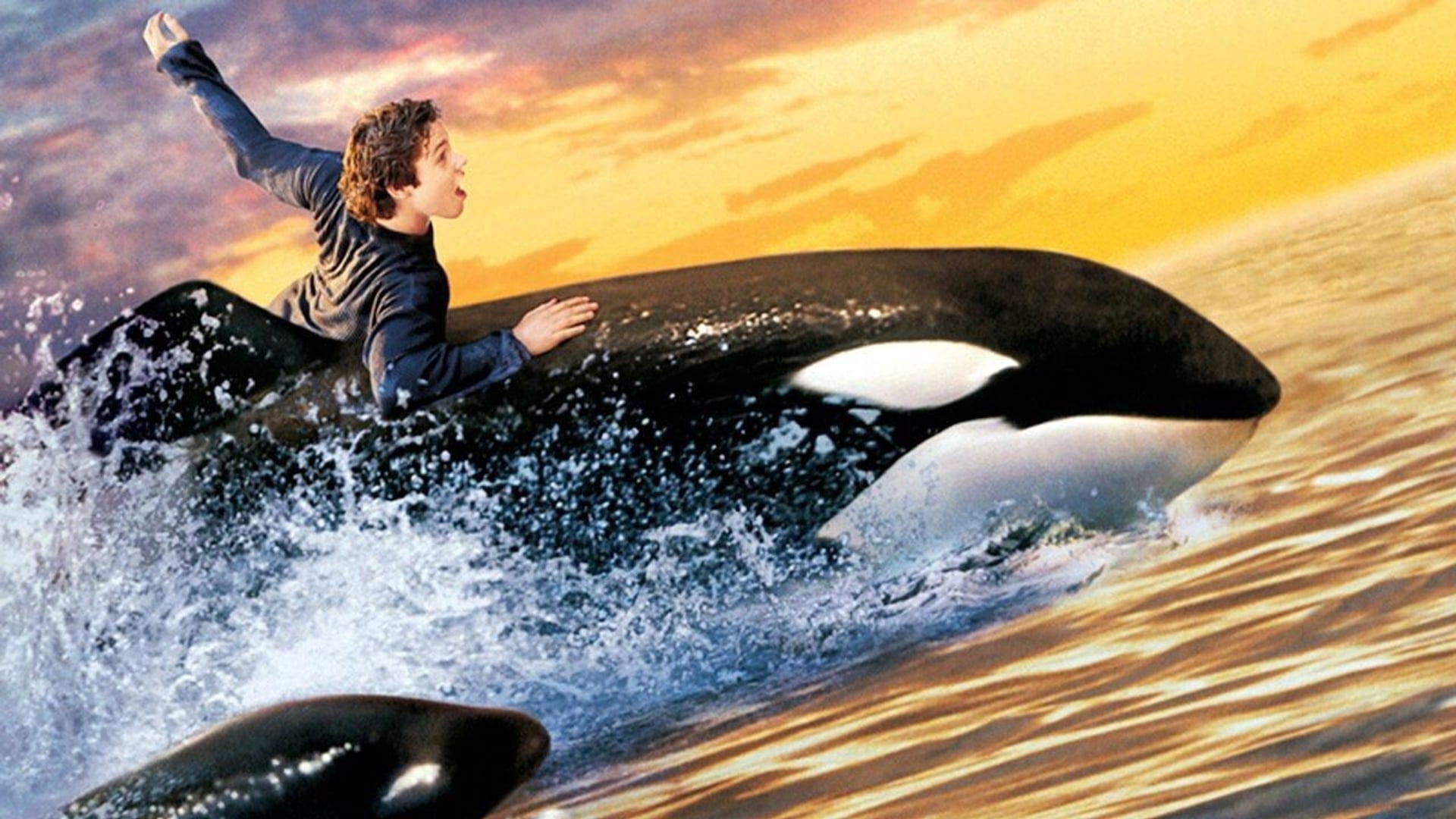 Foto do filme Free Willy 2 - A Aventura Continua