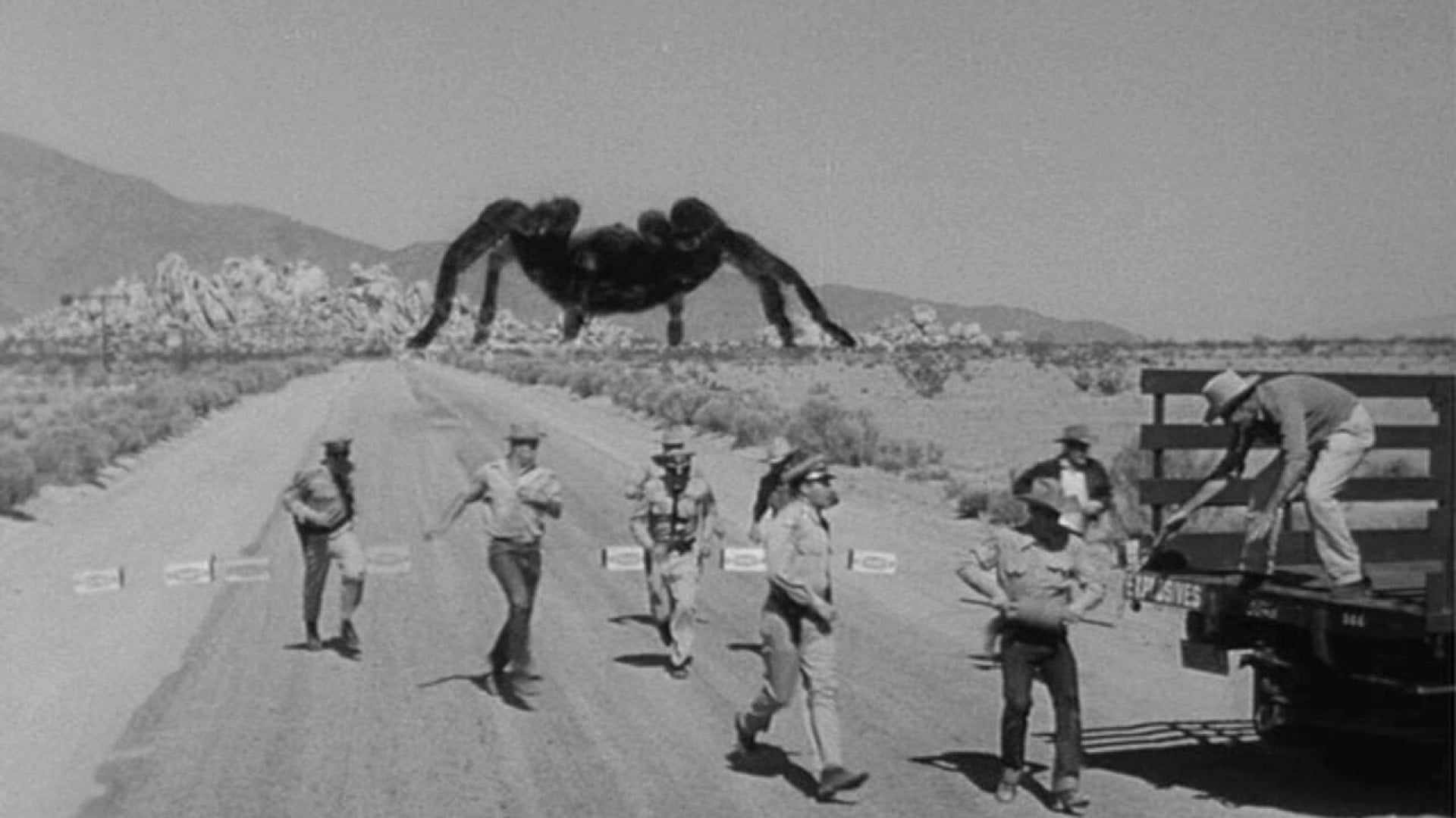 Foto do filme Tarântula!