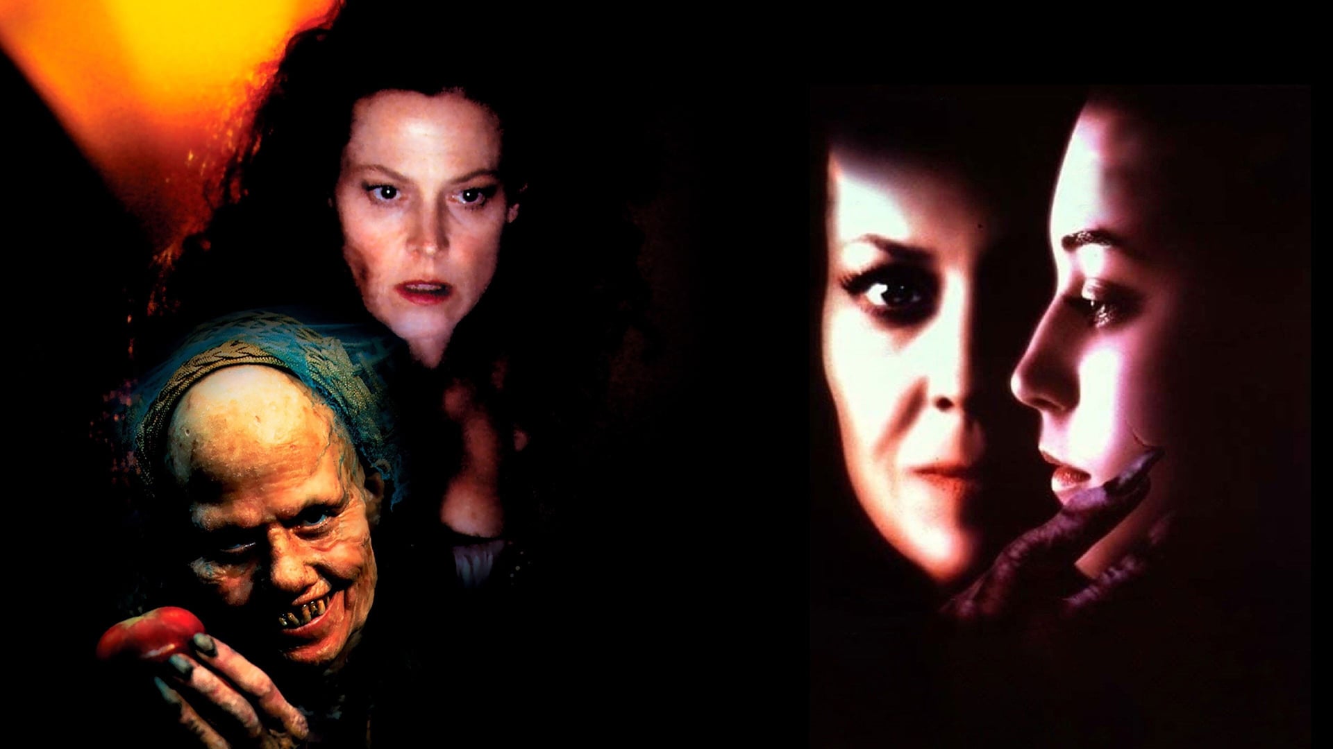 Foto do filme Floresta Negra