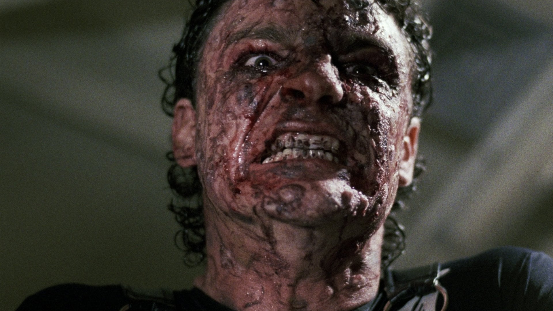 Foto do filme Fúria Primata