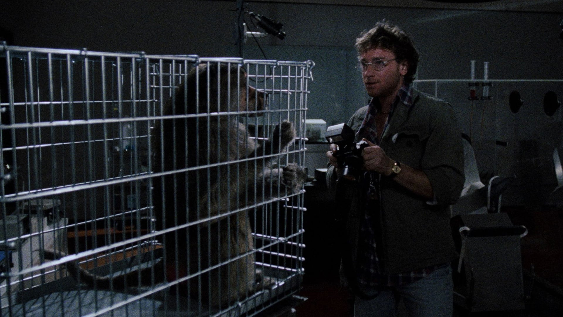 Foto do filme Fúria Primata