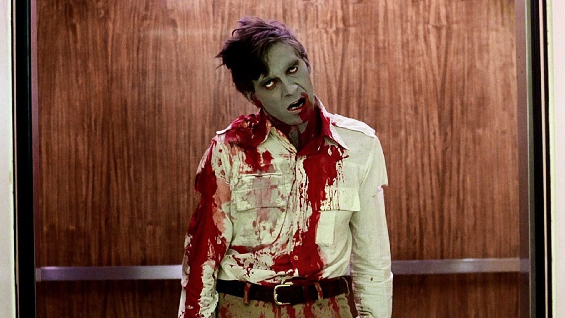 Foto do filme Despertar dos Mortos