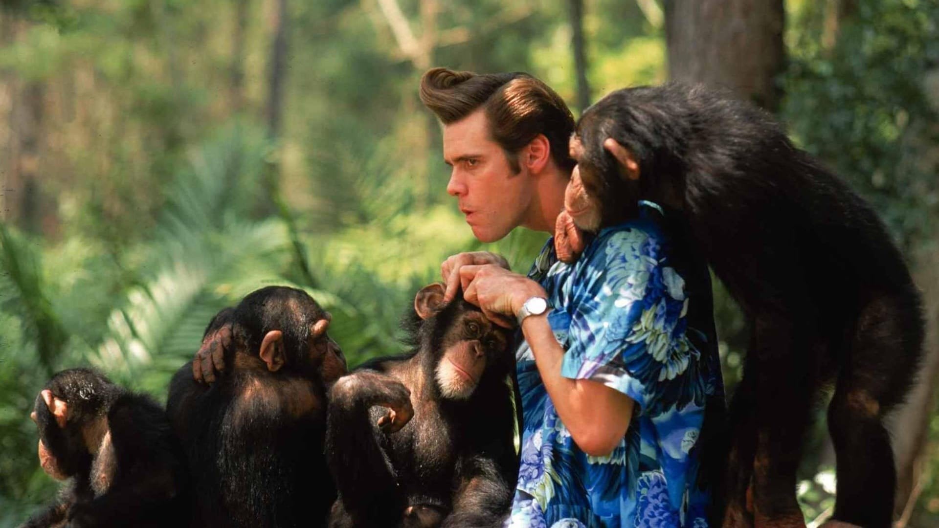 Foto do filme Ace Ventura 2: Um Maluco na África