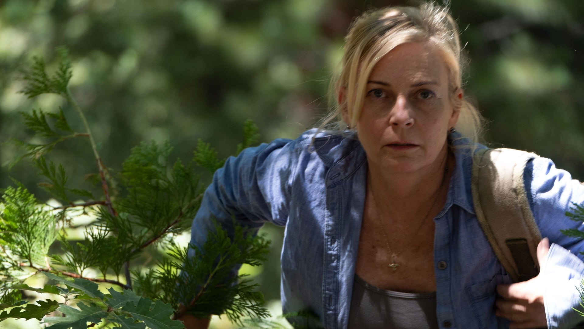 Foto do filme Na Floresta