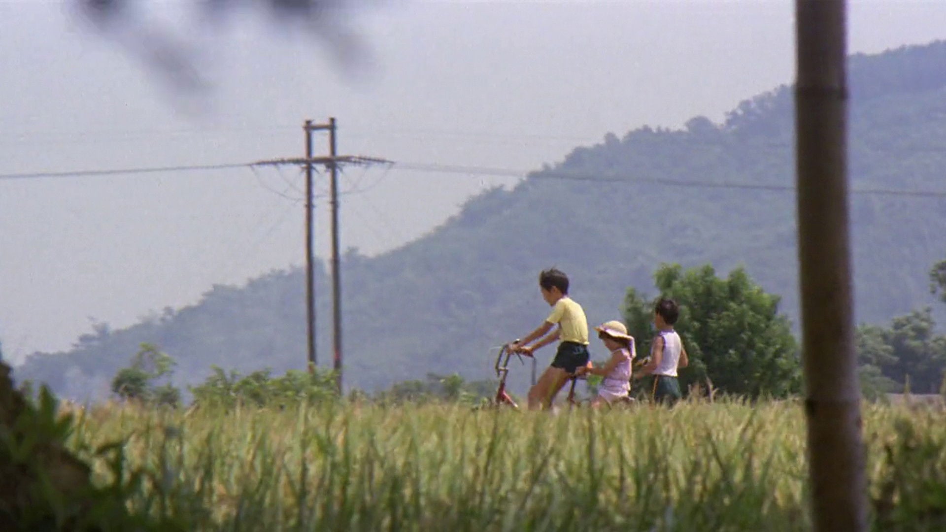 Foto do filme Um Verão na Casa do Vovô